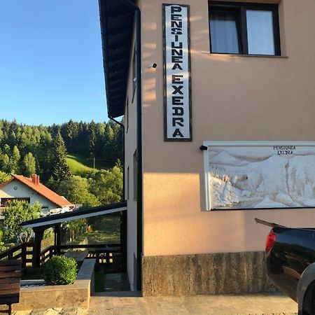 Hotel Pensiunea Exedra Borşa Zewnętrze zdjęcie