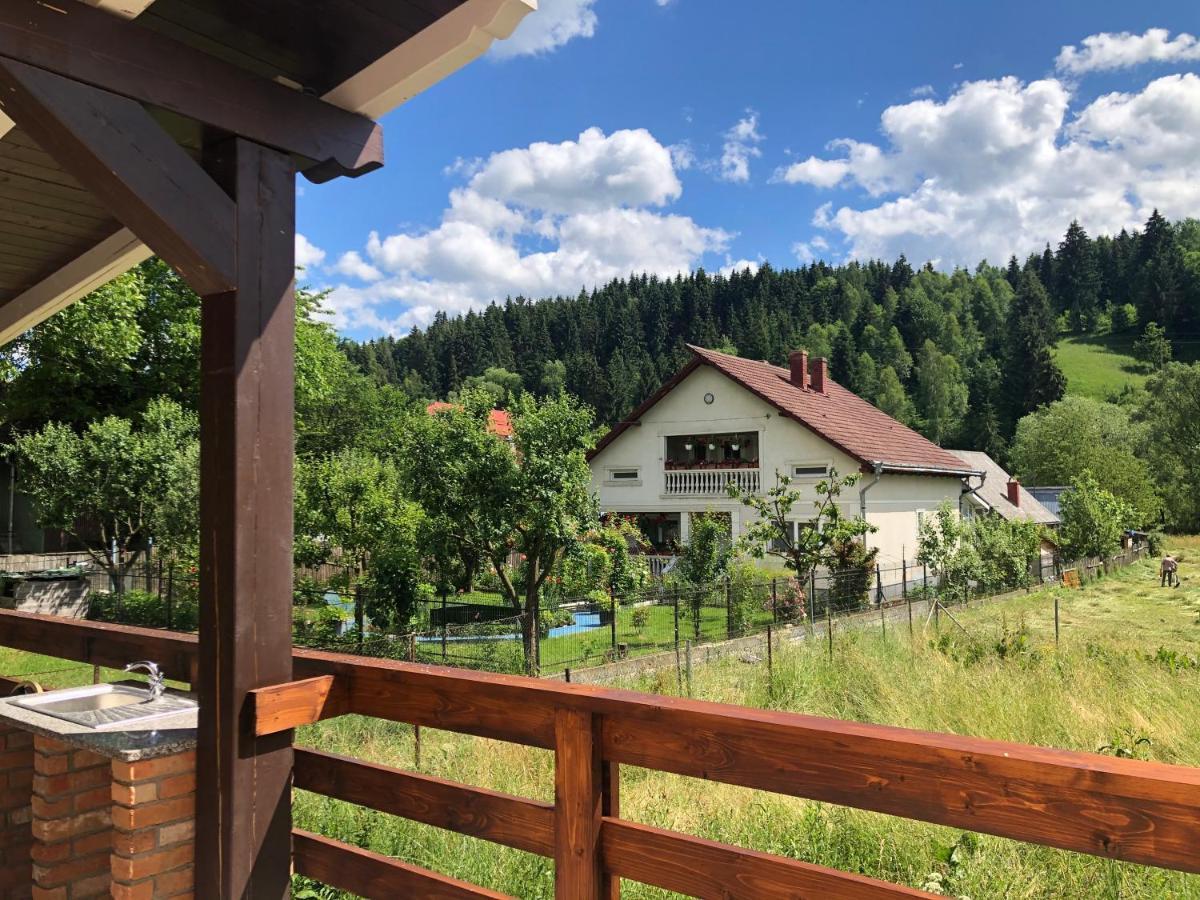 Hotel Pensiunea Exedra Borşa Zewnętrze zdjęcie