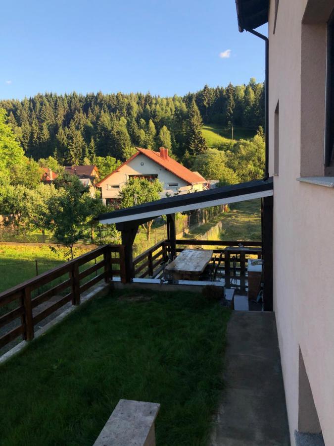 Hotel Pensiunea Exedra Borşa Zewnętrze zdjęcie