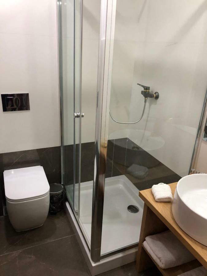 Hotel Pensiunea Exedra Borşa Zewnętrze zdjęcie
