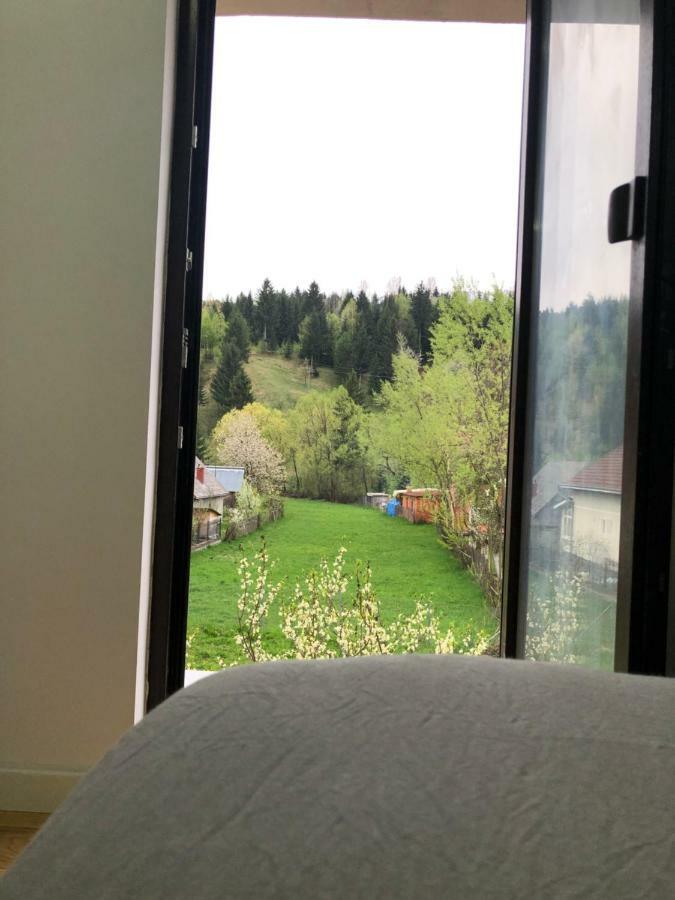 Hotel Pensiunea Exedra Borşa Zewnętrze zdjęcie