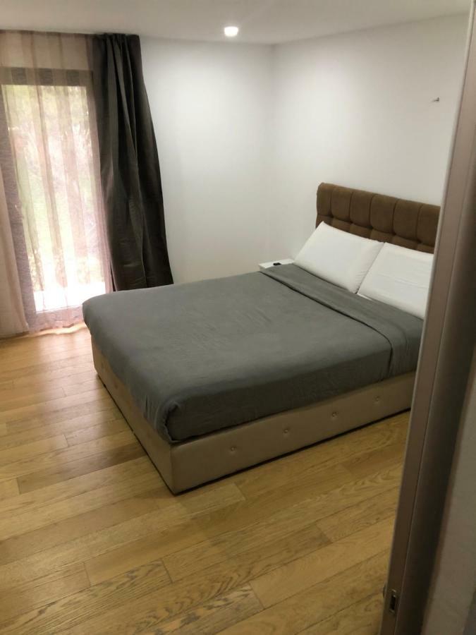 Hotel Pensiunea Exedra Borşa Zewnętrze zdjęcie
