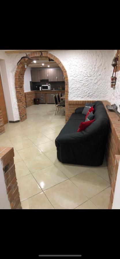 Hotel Pensiunea Exedra Borşa Zewnętrze zdjęcie