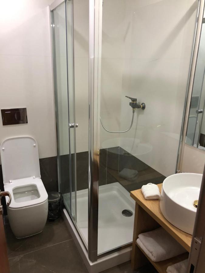 Hotel Pensiunea Exedra Borşa Zewnętrze zdjęcie