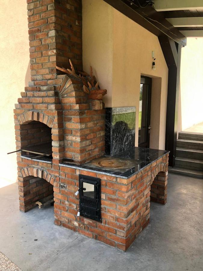 Hotel Pensiunea Exedra Borşa Zewnętrze zdjęcie